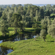 DSC 0090