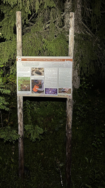 IMG 5657.jpg
