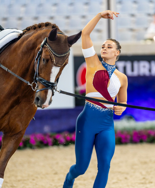 EQUINE VOLTIS77c