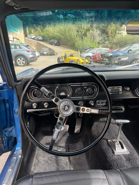 MUSTANG14