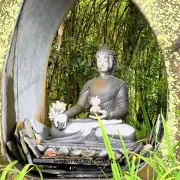 克切拉禅修林3
