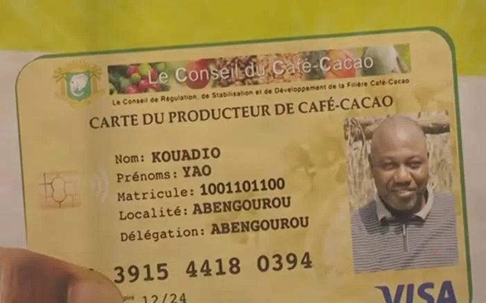 Illustration - Cacao : en Côte d'Ivoire, la carte du producteur devient la nouvelle frontière du marché