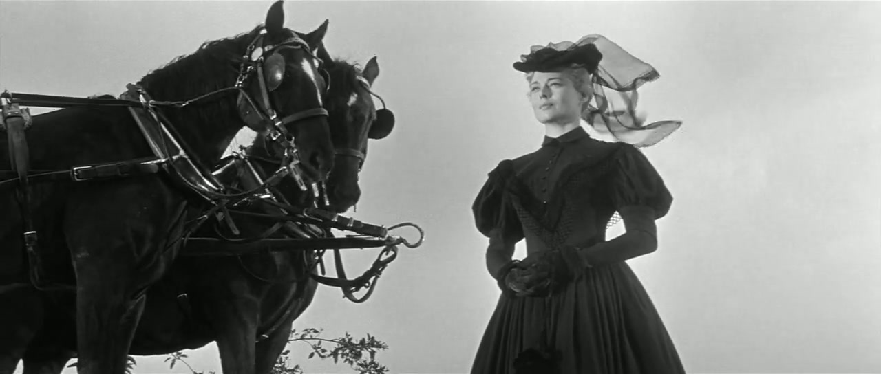 Forty Guns Screenshot