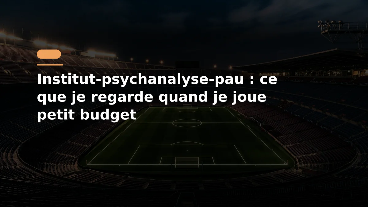Institut-psychanalyse-pau : ce que je regarde quand je joue petit budget
