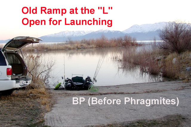 L-LAUNCH