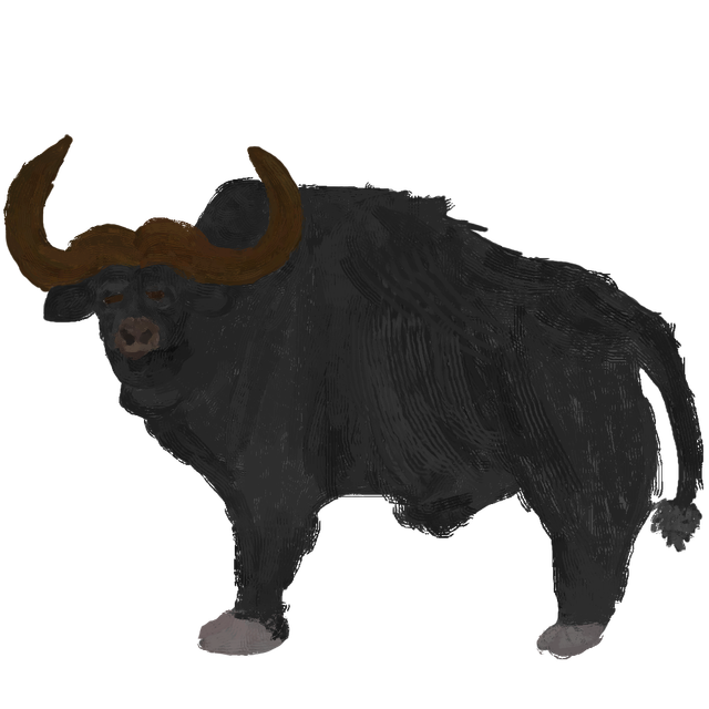 biuhsh.png