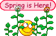 spring016.gif