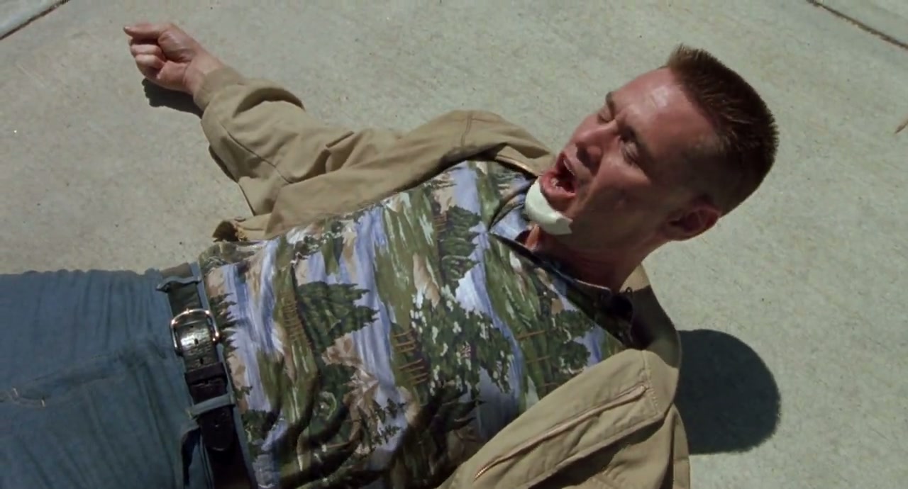 Me, Myself & Irene Screenshot