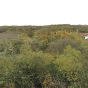 IMG_0027
