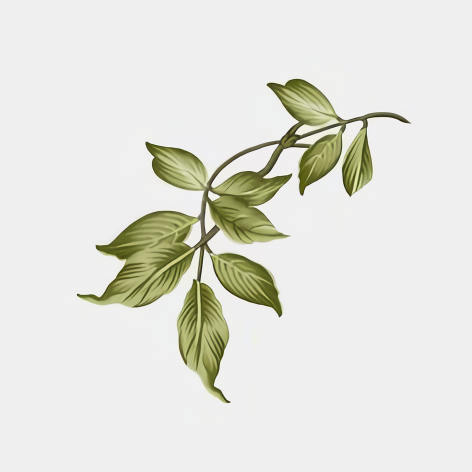 cc7a4a5b1caea437f05aff2bd875a3f2.png