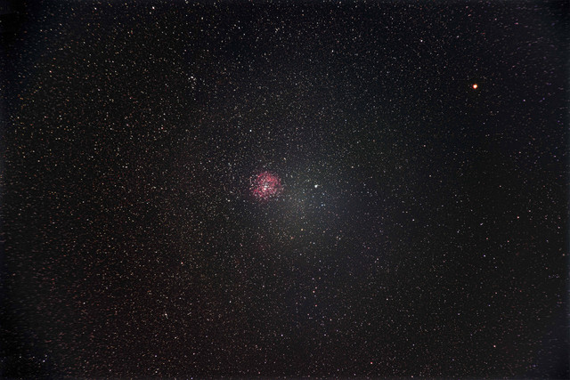 rosette-original