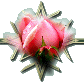 c07cbee41635