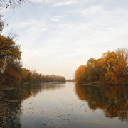 100c0100246m