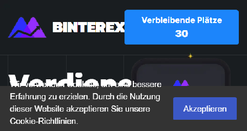 Screenshot of binterex.org