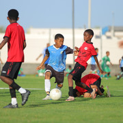 IMG 4274