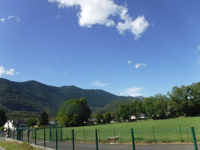 DSCF6196