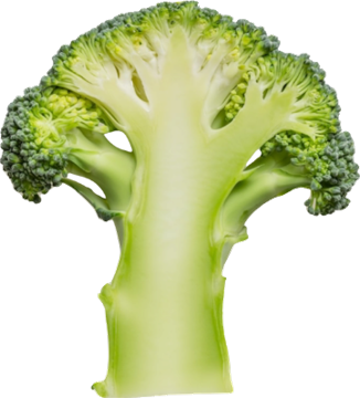 Broccoli