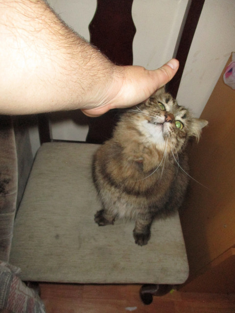IMG-0137