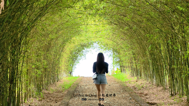 Bamboo Walk2.png