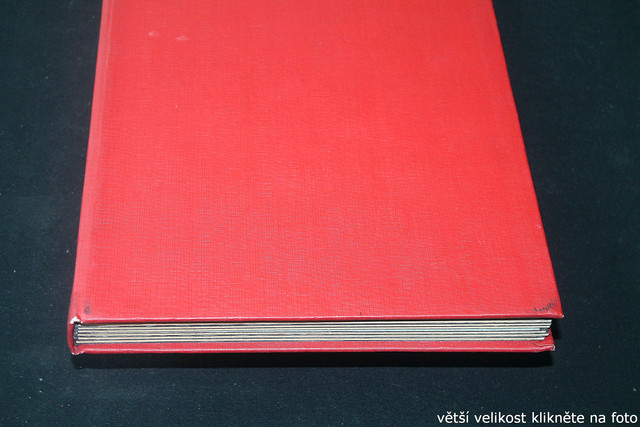 IMG-3583.jpg