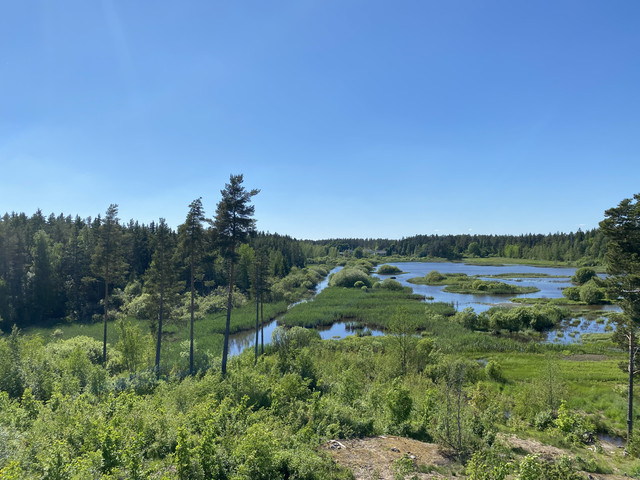 3-A8-D601-A-FE71-4-A53-BA56-9-CBCC7-BABB