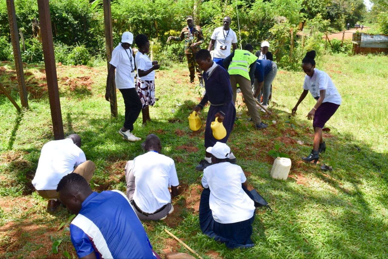 Environmental Activity