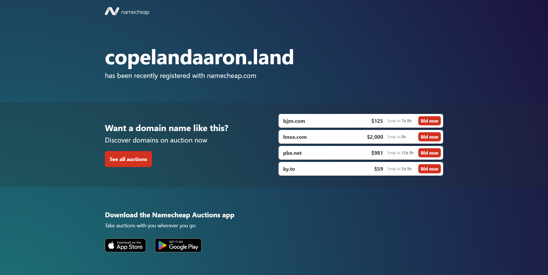 Stored capture of copelandaaron.land
