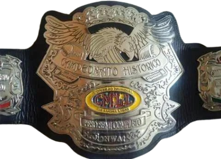 IBW World Light Heavyweight.png