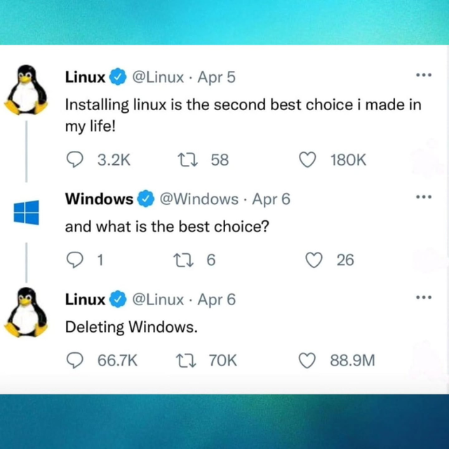 Установка Linux Удаление Windows.png