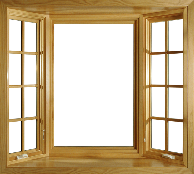 windows-24