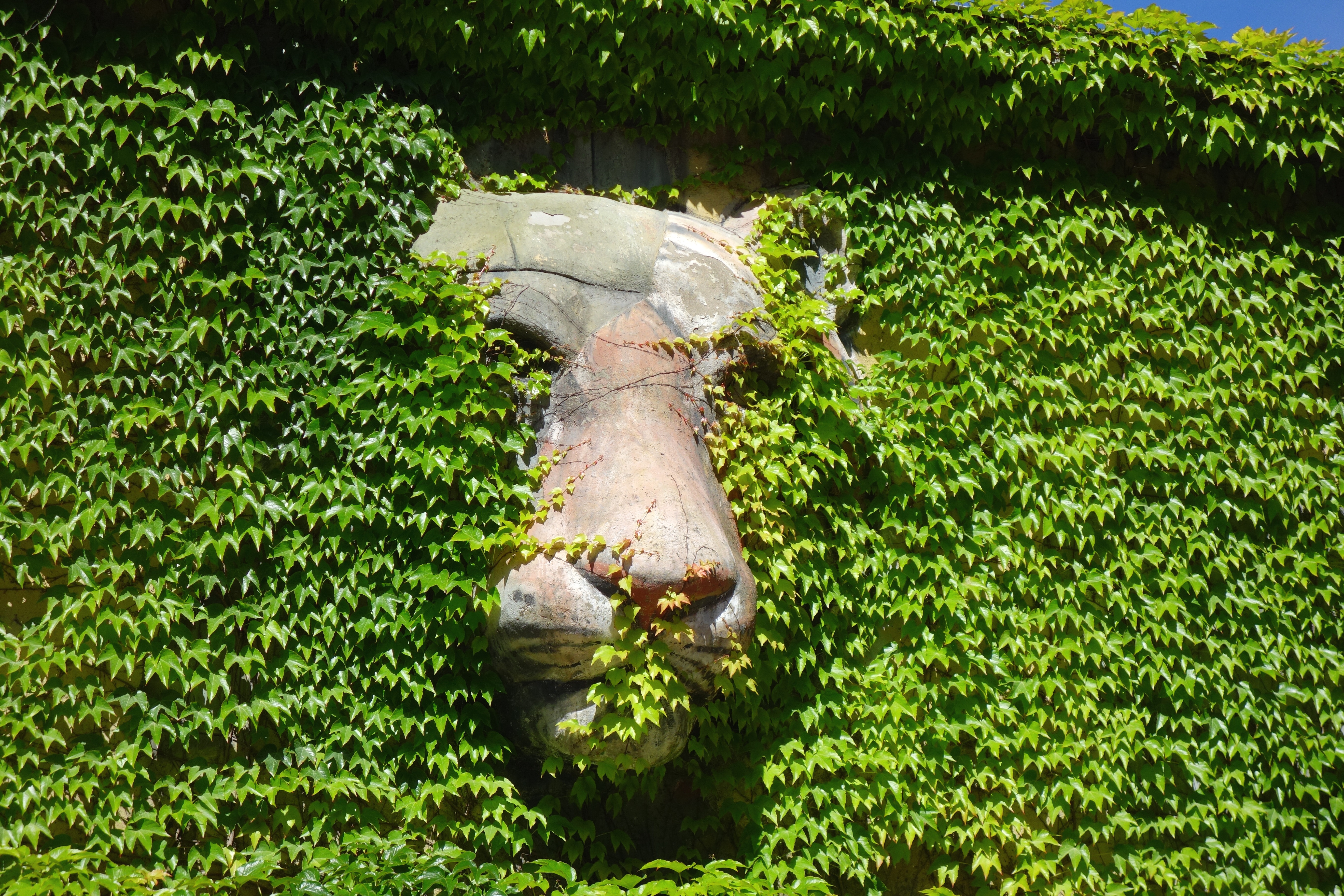 DSC09044