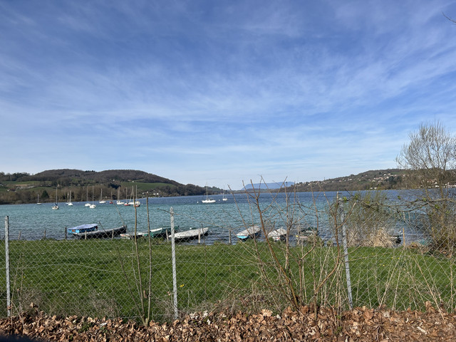 IMG-3565