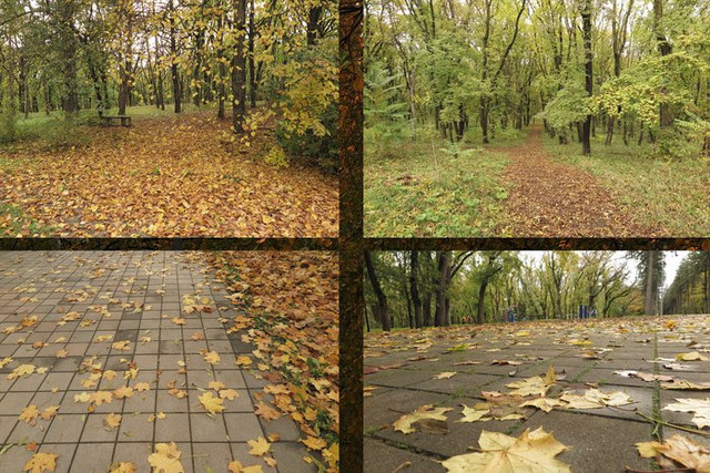 Коллаж3Есс.jpg
