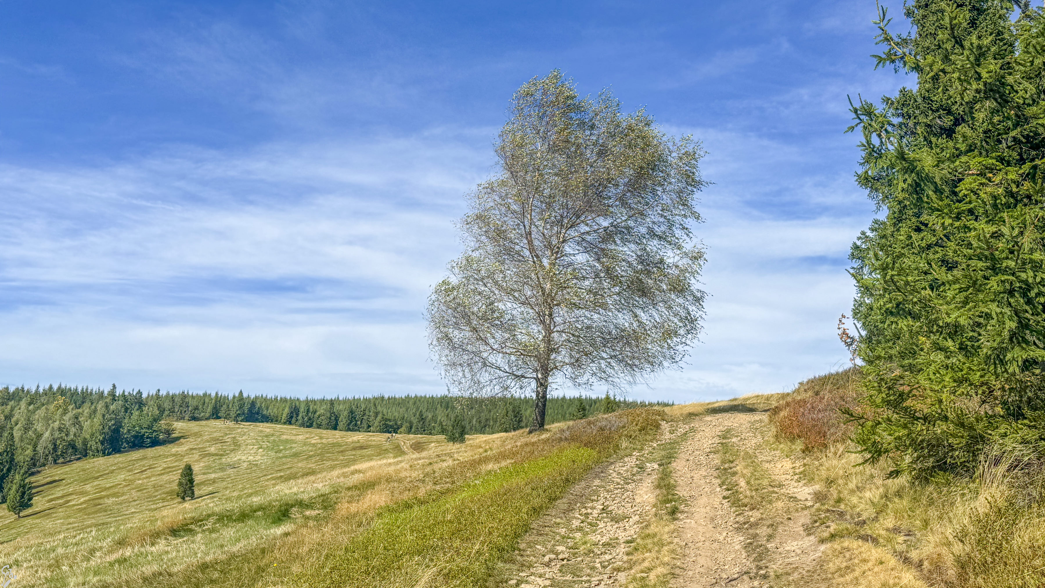 beskidy 08