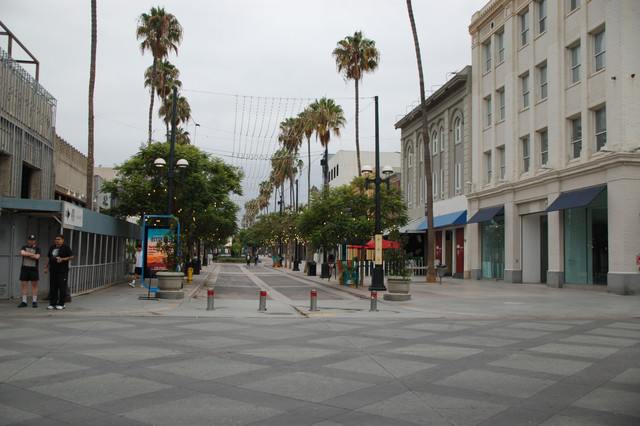DSC 4354.jpg