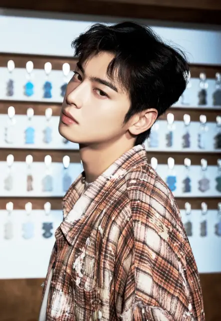 cha eun woo 1395946.webp