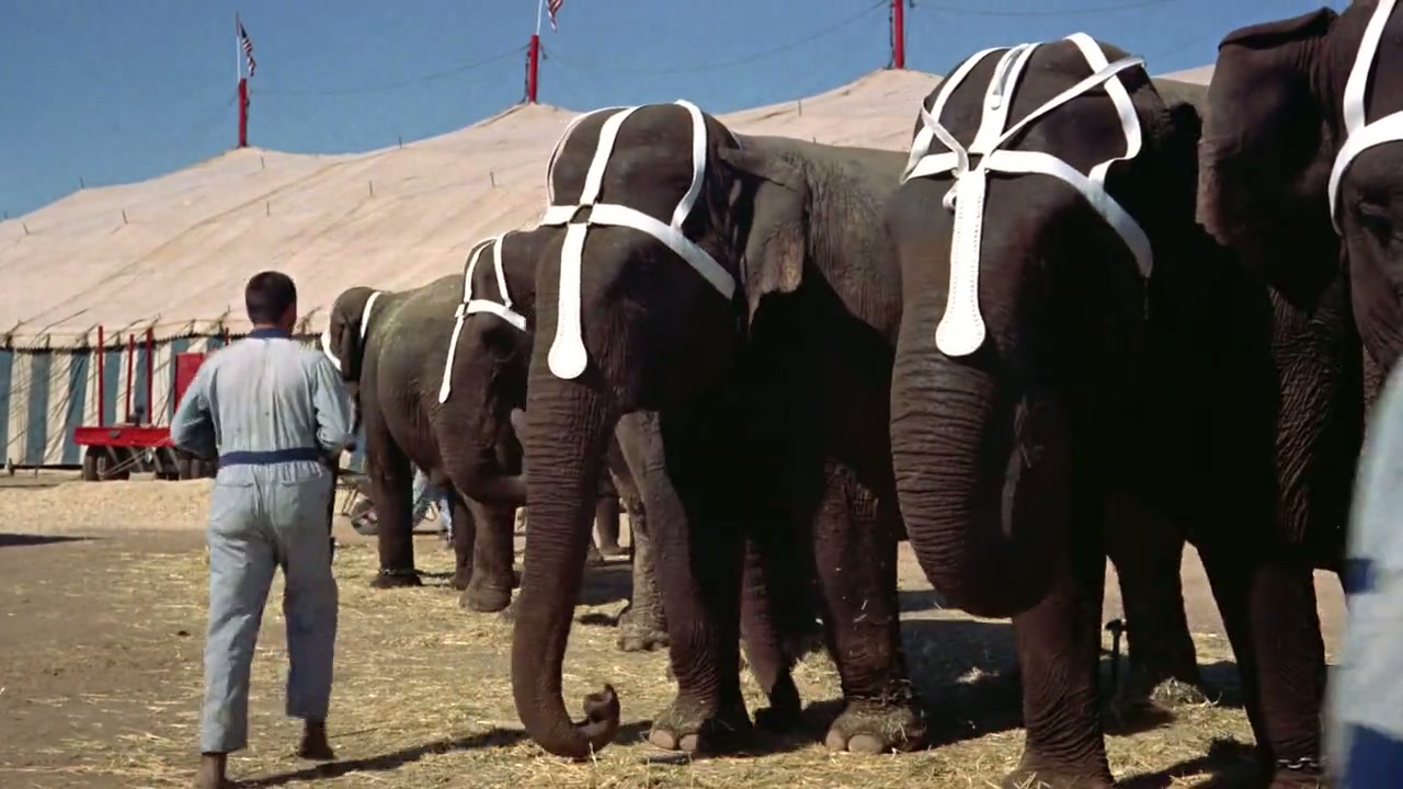 3 Ring Circus Screenshot