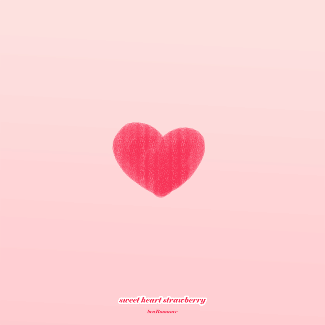 20053003