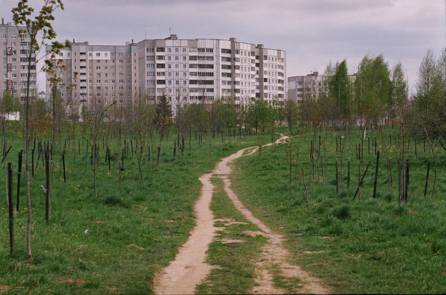 45860005.jpg