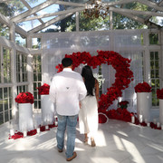 IMG-4226