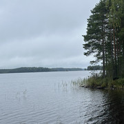 IMG 4656