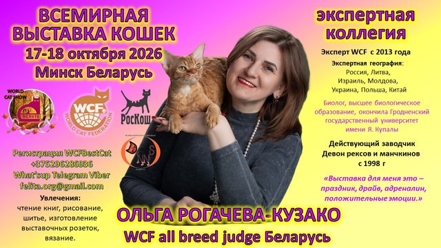 афиша 11