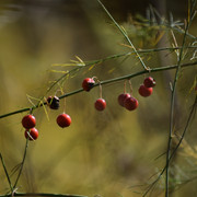 DSC 0146