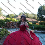 IMG 1529