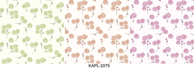 KAPL 2079.jpg
