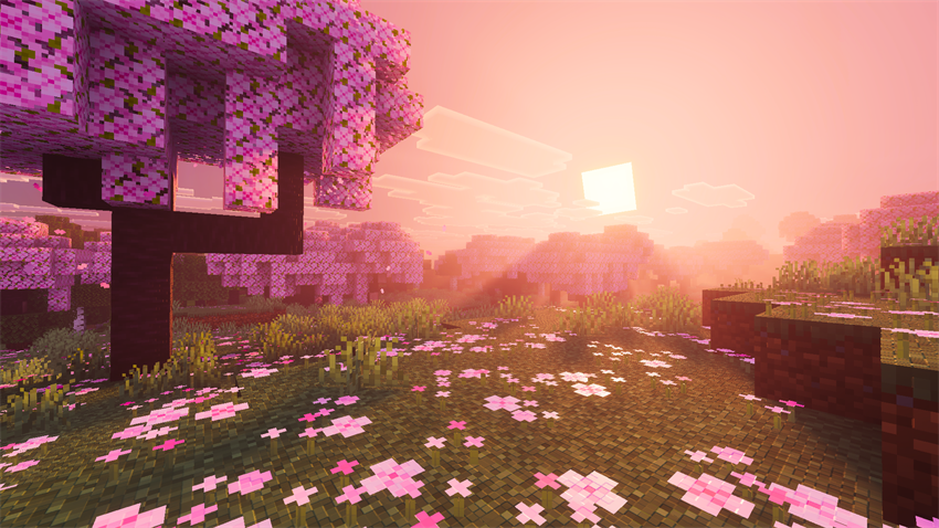 cherry grove pink mist