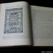 IMG-6376