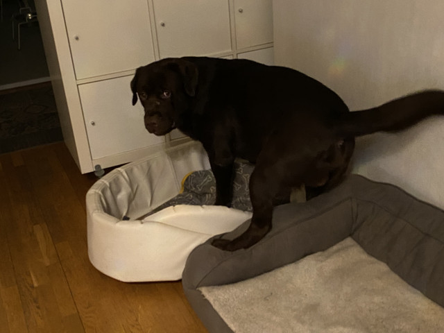 985552-B3-F3-DA-4-E66-882-B-EA5454-DDE00