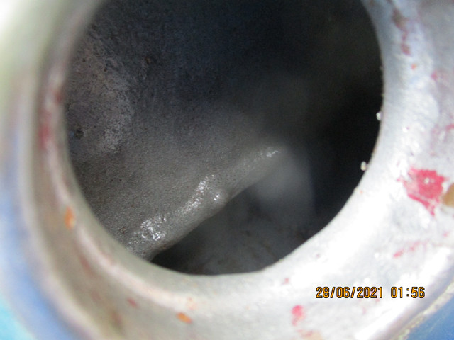 IMG-5565