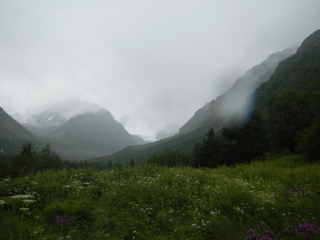 DSCN5340